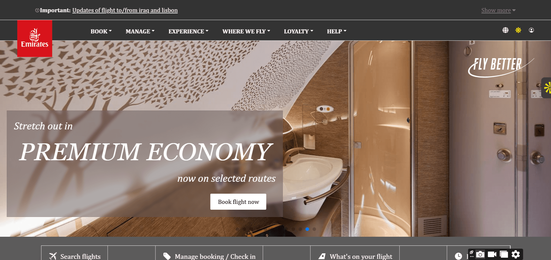 picture of fly emirate web app